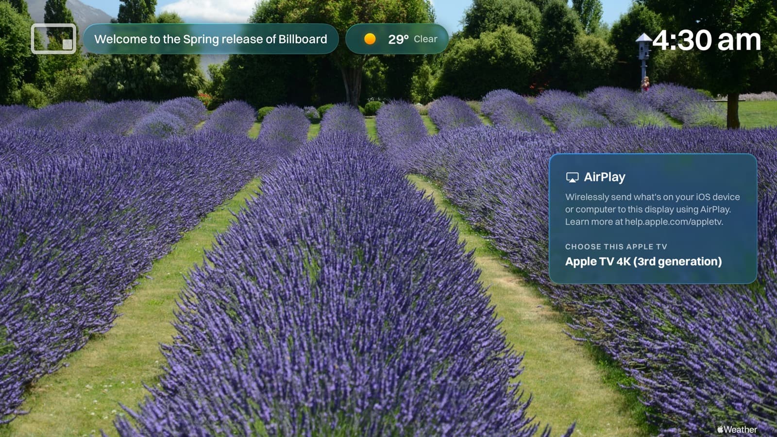 An Apple TV showing a full-screen photograph with the AirPlay panel